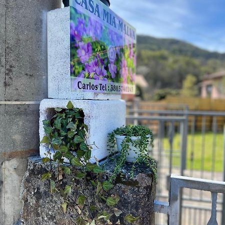 Casa Mia Malva Appartement Riccò del Golfo di Spezia Buitenkant foto