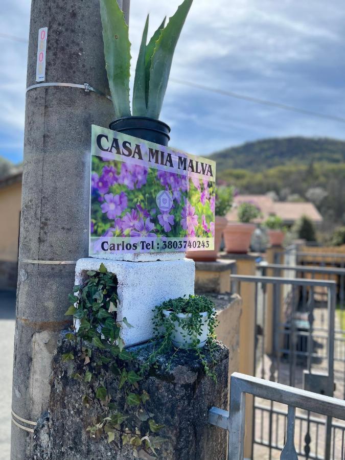 Casa Mia Malva Appartement Riccò del Golfo di Spezia Buitenkant foto
