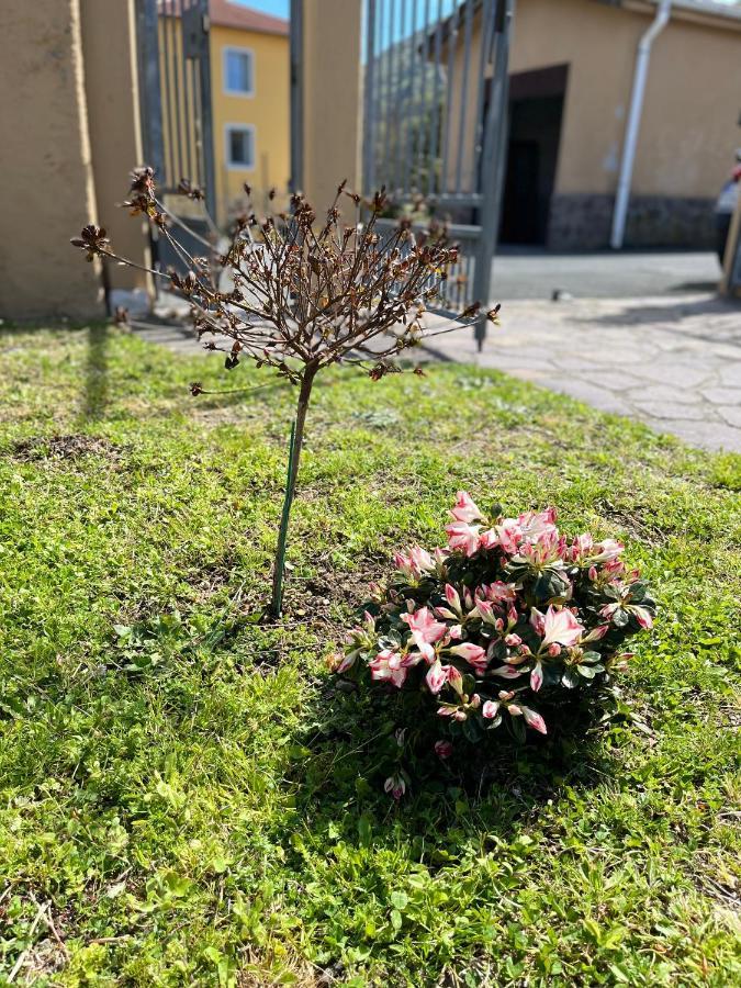 Casa Mia Malva Appartement Riccò del Golfo di Spezia Buitenkant foto