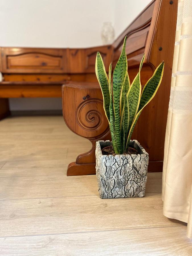 Casa Mia Malva Appartement Riccò del Golfo di Spezia Buitenkant foto